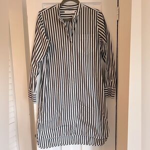 Everlane striped shirt dress